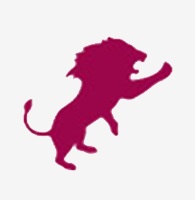 LEOVIZ