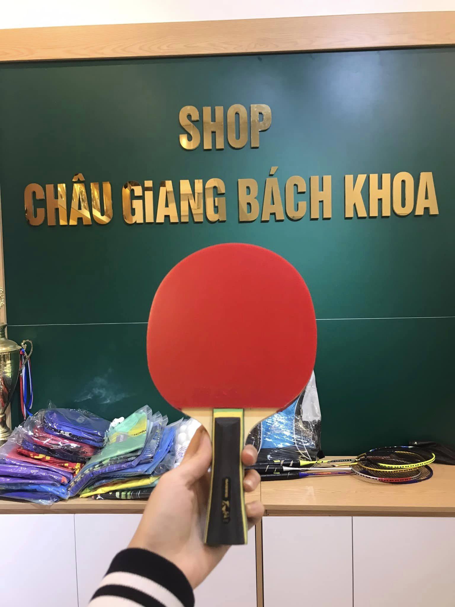 VỢT DÁN SẴN SANWEI TAIJI 210